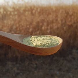 Nanda Life Pure Bitter Melon (Yeoju) Powder 120g 100% Korean Cheonan Origin Low-Temperature Dried Natural Vegetable Powder _ Made in Korea